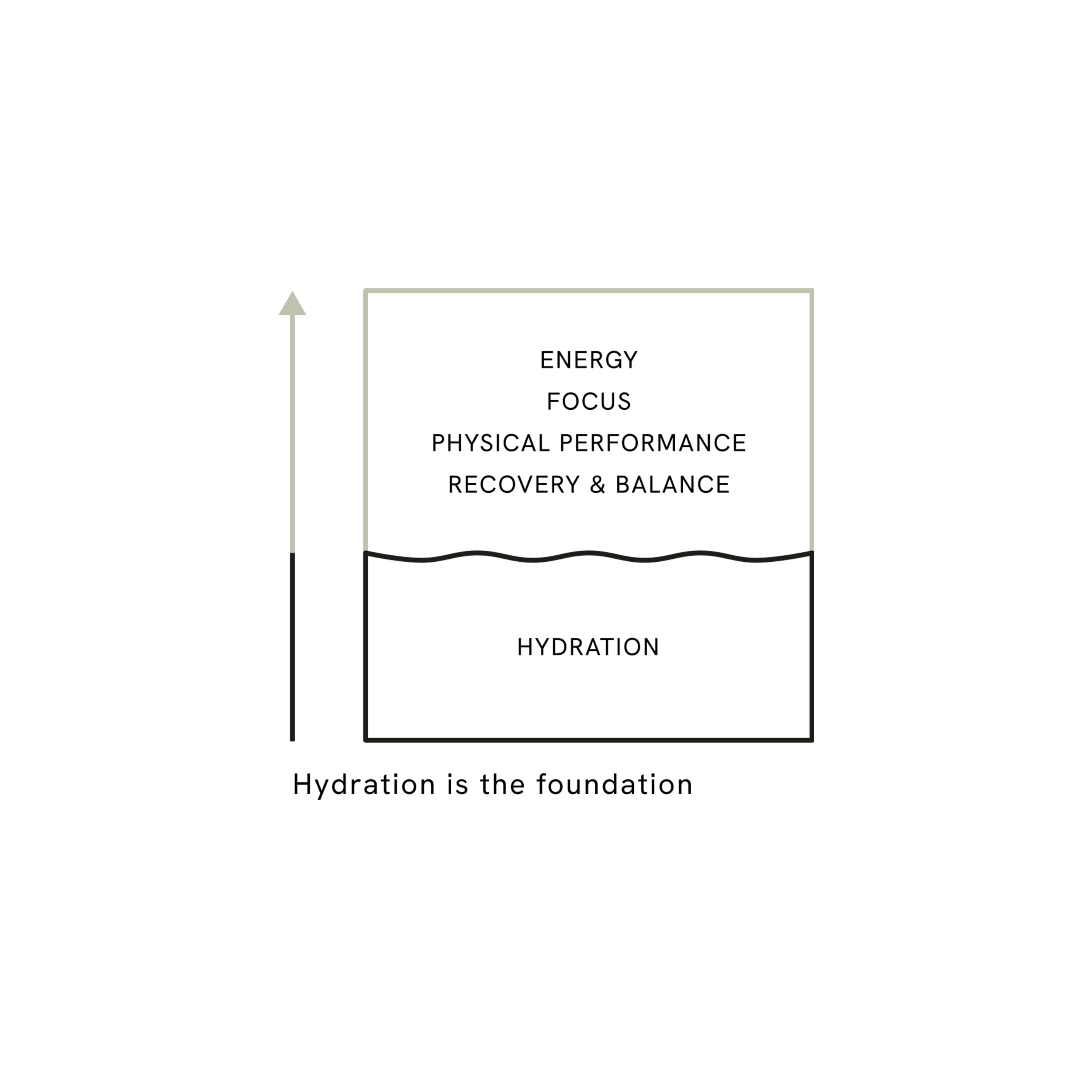 Kitsu